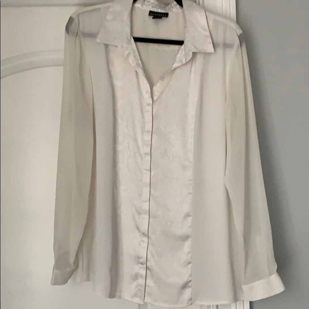 Metaphor Button Down